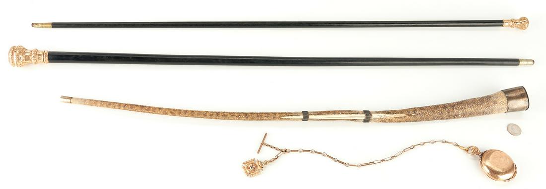 Elgin Pocket Watch & 3 Canes, incl. 14K Gold (1 of 20)