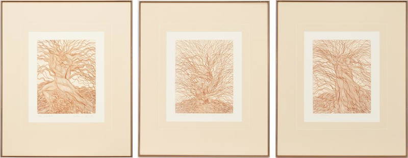 3 Guillaume Azoulay Tree Etchings, The Willow Suite: Three (3) Guillaume Azoulay (California/Israel, born 1949) sepia color etchings on paper from "The Willow Suite," including one (1) titled "Babylonica," one (1) titled "Caprea," and one (1) titled "Al