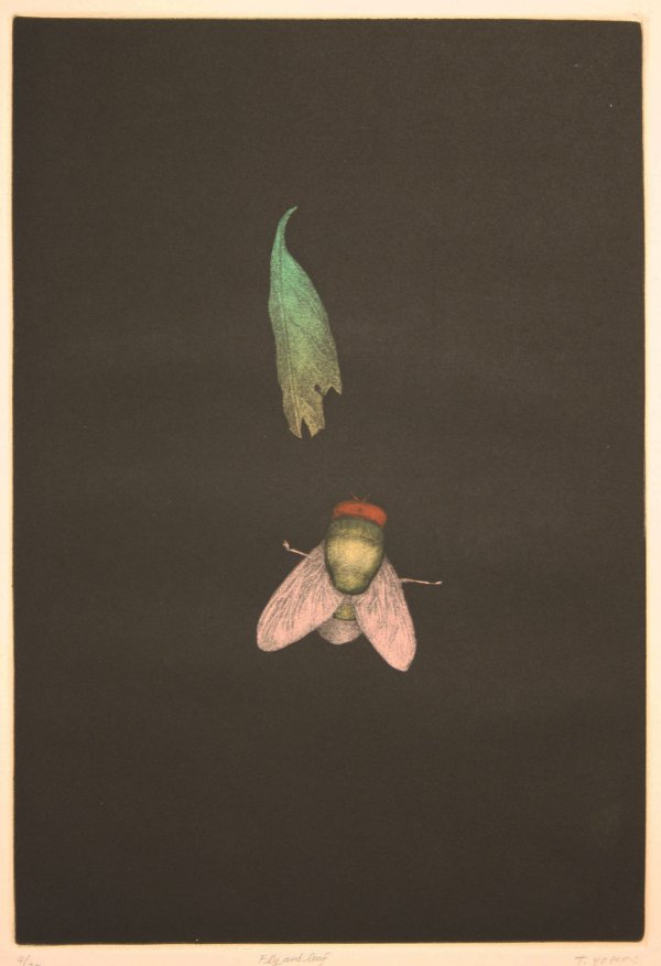 Tomoe Yokoi mezzotint, "Fly and Leaf": Mezzotint titled "Fly and leaf" by Tomoe Yokoi (Japanese/American, b. 1943). Signed lower right and numbered "4/75". Unframed. Overall excellent condition with toning to margins. Sight mezzotint - 14