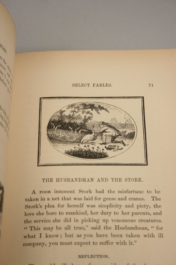 Two 19th c. fables books - 4