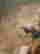 item-112404888=4