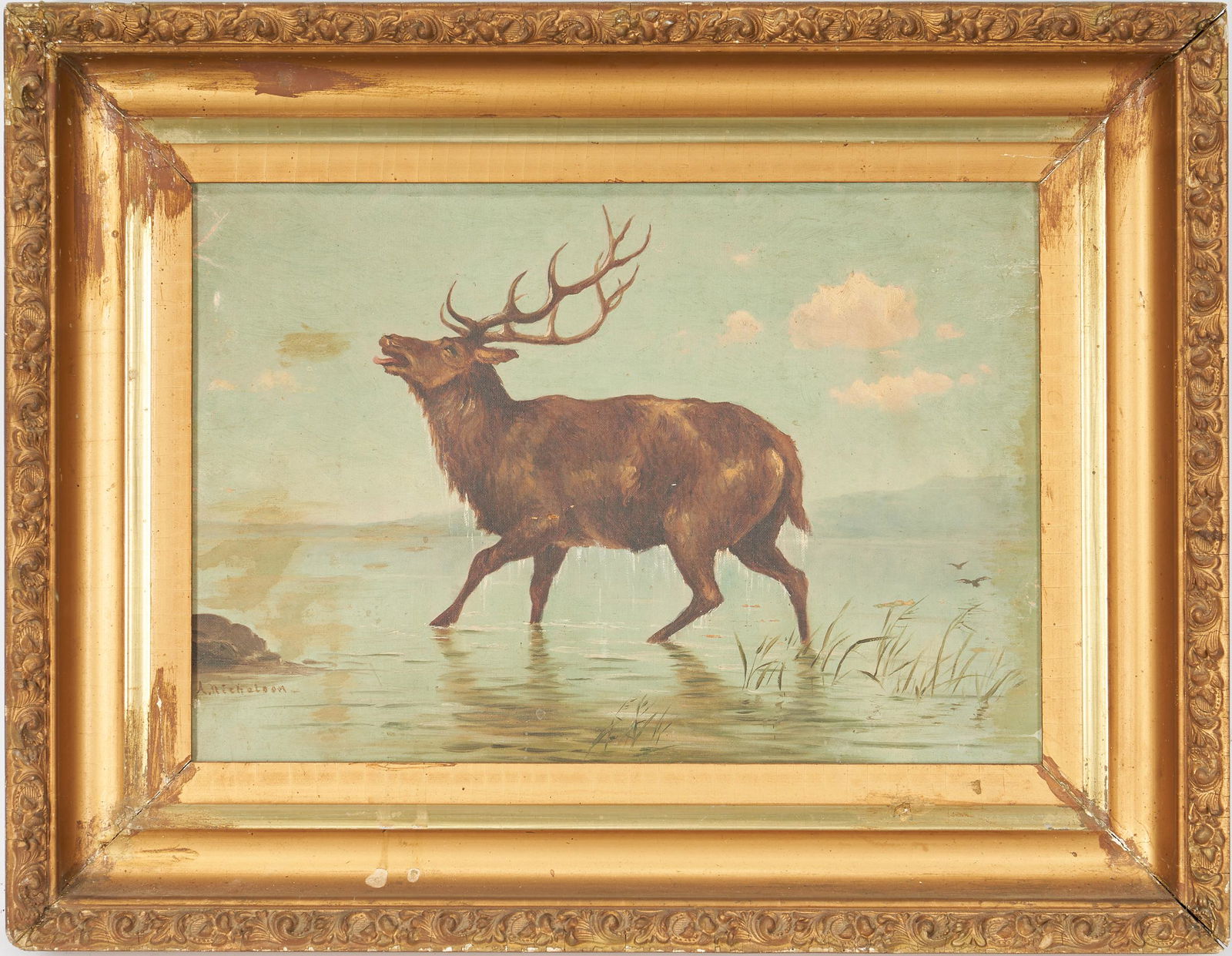 American School O/C Stag or Elk Painting, Signed A. (1 of 9)
