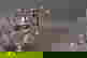 item-7911753=3
