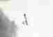 item-119655912=10