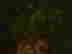 item-119656021=4