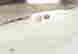 item-119654381=12