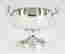 item-119654381=4