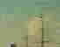 item-119654386=4