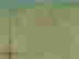 item-119654386=5
