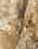 item-119654392=14