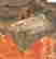item-119654393=17
