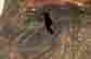 item-119654393=18