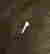 item-119654395=14