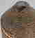 item-119654400=16