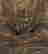 item-130279856=6