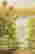 item-130280044=2