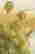 item-130280044=4