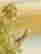 item-130280044=9