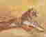 item-130280047=2
