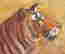 item-130280047=6