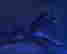 item-130280047=9