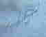 item-130280060=7