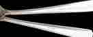 item-130280280=11