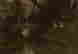 item-130280335=5