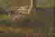 item-130280339=5