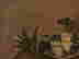 item-130280341=4