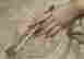 item-130280344=6