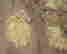 item-130280363=10