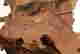 item-130280381=11