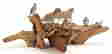 item-130280381=3