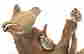 item-130280381=5