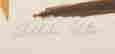 item-130280430=16