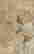 item-130280492=12