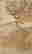 item-130280492=15