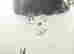 item-130280629=15