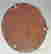 item-130280639=16