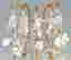 item-130284014=4