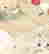 item-130284056=5