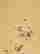 item-130284057=7