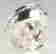 item-130284136=5