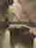 item-130284153=4