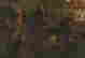 item-130284166=3