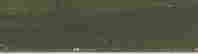 item-130284168=10