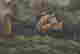 item-130284168=4