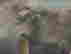 item-130284168=5