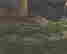 item-130284168=7